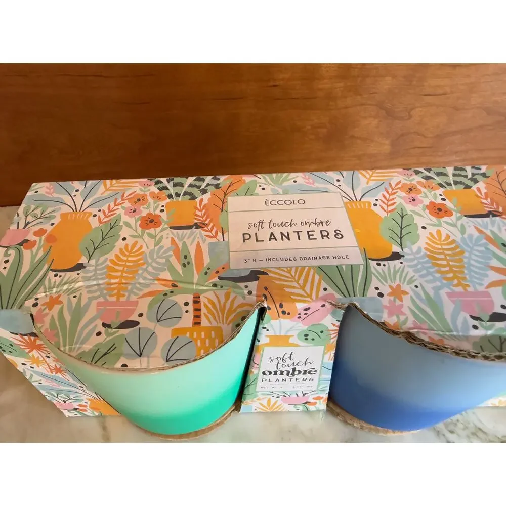 Pair of Ombre Mini Planter Pots